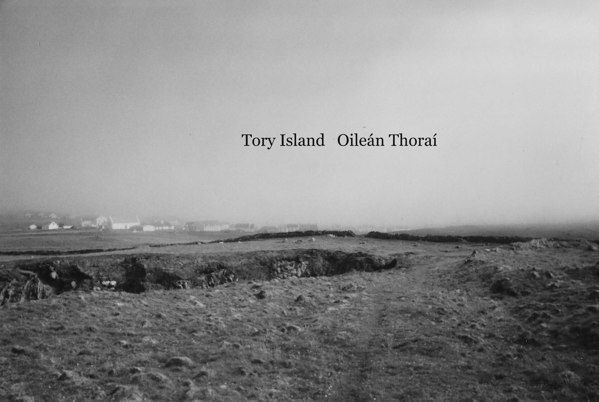 LOGO AND HOME BUTTON